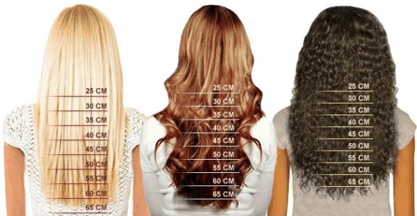 Clip-In Extensions - 100 Gramm